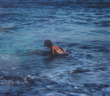 Review: Passion Pit – Tremendous Sea Of Love